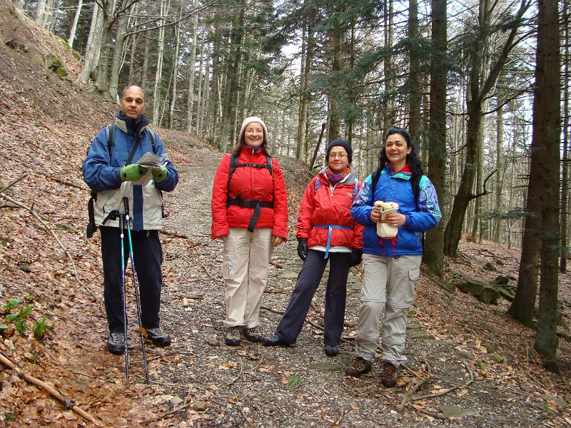 81Foresta Lama Casentino06042008.JPG